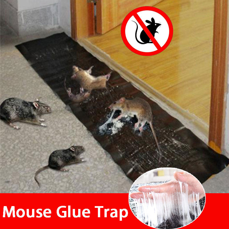 Rat Killing Glue Trap Mat
