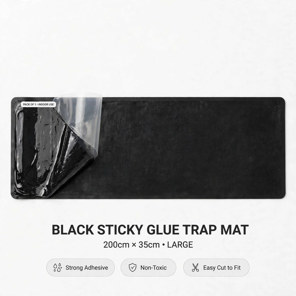 Rat Killing Glue Trap Mat